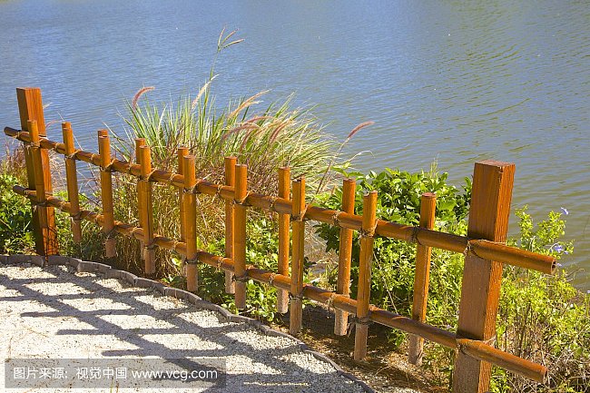 清风藤科清风藤属有哪些种类 绿林网