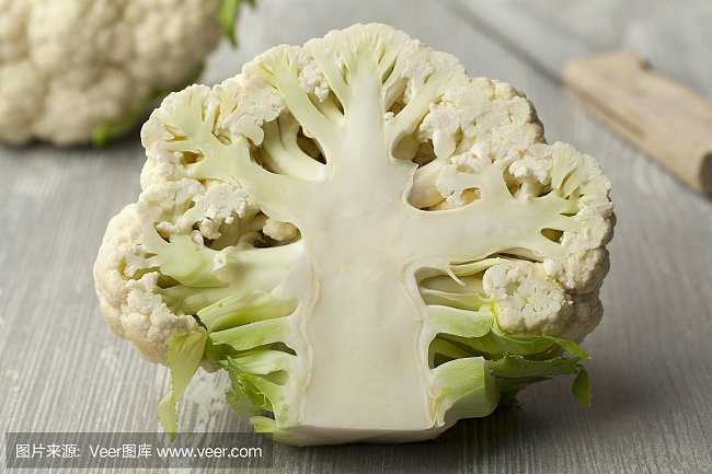 常见的白花菜科鸟足菜属有哪些 绿林网 常见的白花菜科鸟足菜属有哪些 绿林网
