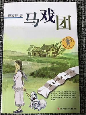 小说集好词好句